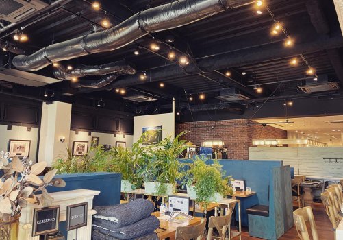 관엽식물이 있는 힐링 공간