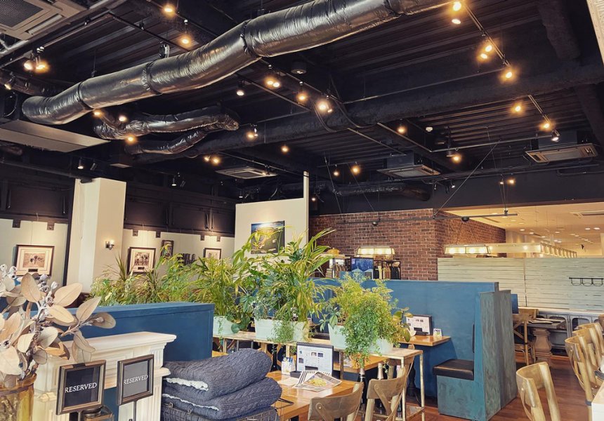 관엽식물이 있는 힐링 공간