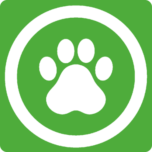 반려동물 동반 가능(테라스 좌석만)