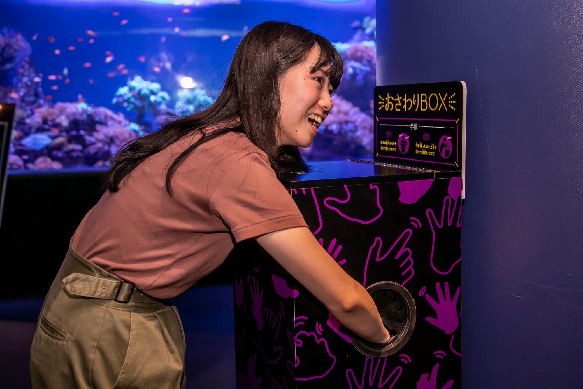 展覧会画像 1